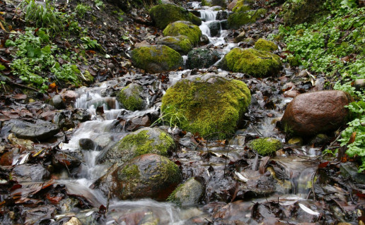 7_NKRP Neciuiku saltinis.jpg